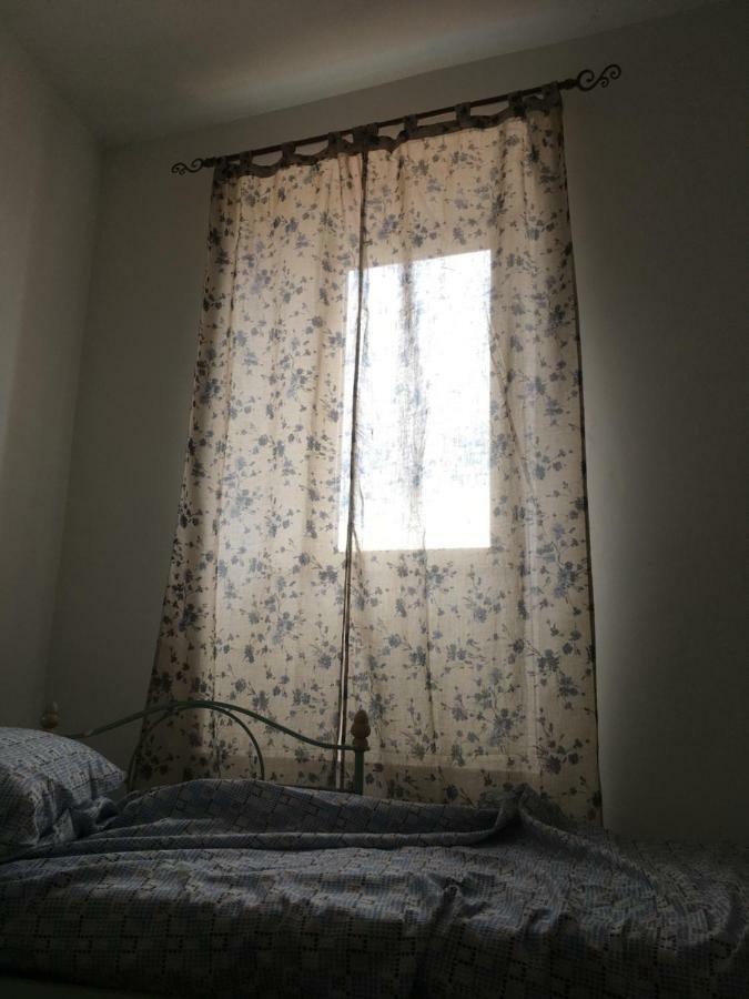 Whole Holiday Home Apartment Splendid Civitavecchia Da Pamino & Priscilla المظهر الخارجي الصورة